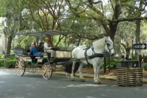 Private Carriage