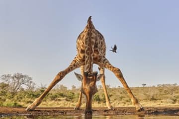Aquila Game Reserve and Spa