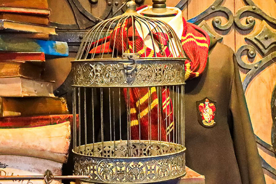 Main Image