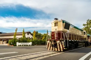 Grgich Hills Winery Tasting | 3-Hour Lunch Train