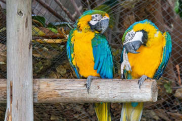 Discover Cape Town with City Sightseeing