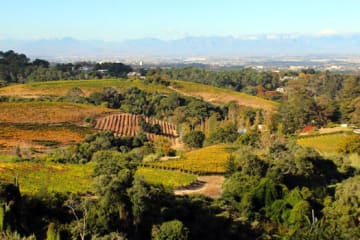 Stop 27: Beau Constantia