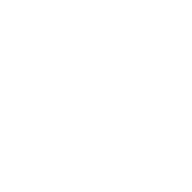 Mountain Goat