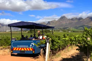 Stellenbosch Wine Tractor – travel through the vineyards and backroads