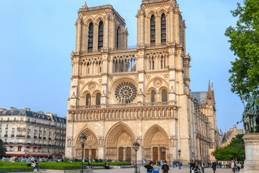 Main Image