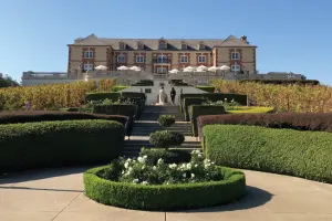 Napa and Sonoma Wine Tour