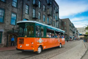 Savannah Day & Night OTT Package