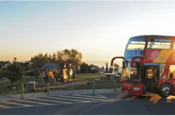 #Cameraland & Red Bus Photo Tour: Capture Cape Town's Beau