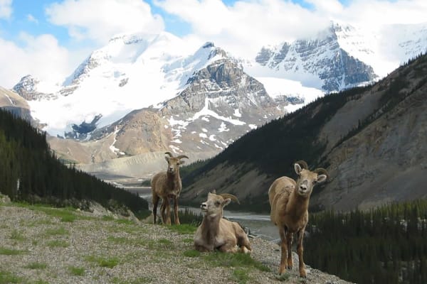 Photo Credit: Travel Alberta