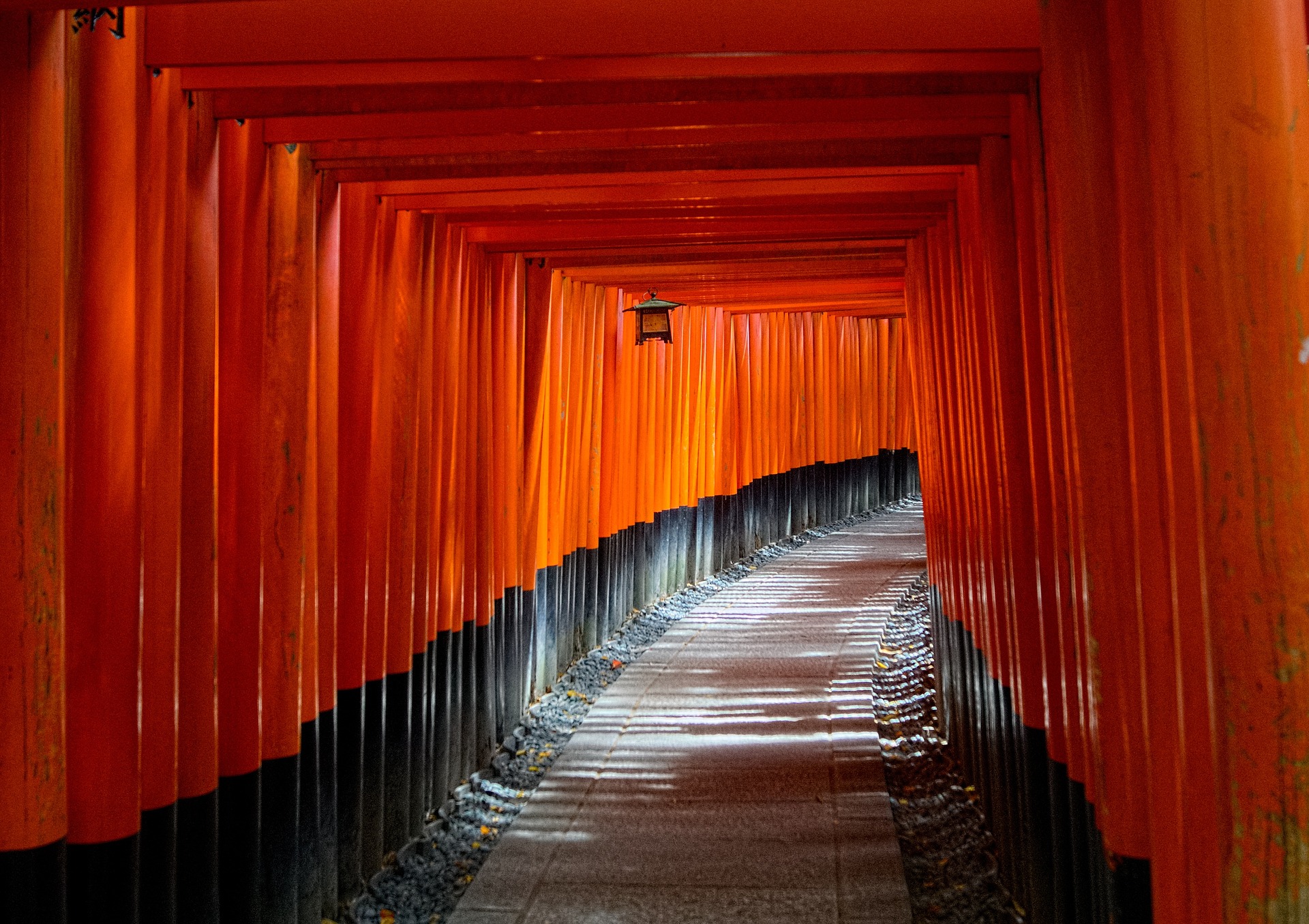 Best of Kyoto: Nijo, Kinkaku-ji, Arashiyama, Kiyomizu-dera & Fushimi Inari with opt Tickets