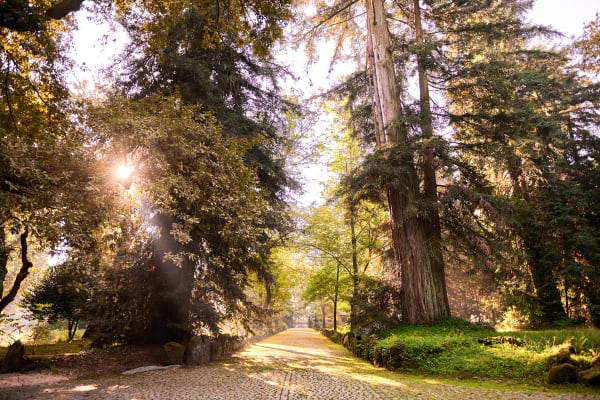 Quinta da Aveleda Gardens