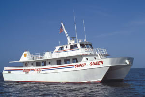 Deep Sea Fishing