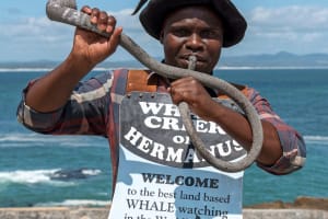 Hermanus whale crier