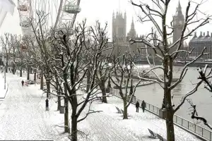Christmas Day Lunch Cruise and Guided City Tour