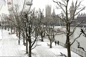 Christmas Day Lunch Cruise and Guided City Tour