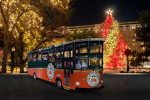 Holiday Sights and Festive Nights
