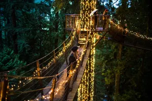 3- Day Vancouver Winter Sightseeing Tour