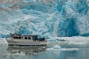 Tracy Arm Full Day Excursion
