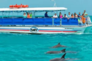 Fury Dolphin Snorkel