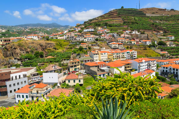 Funchal houses landscape