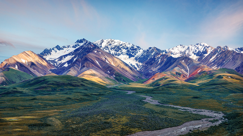 Experience Denali with our Railtour
