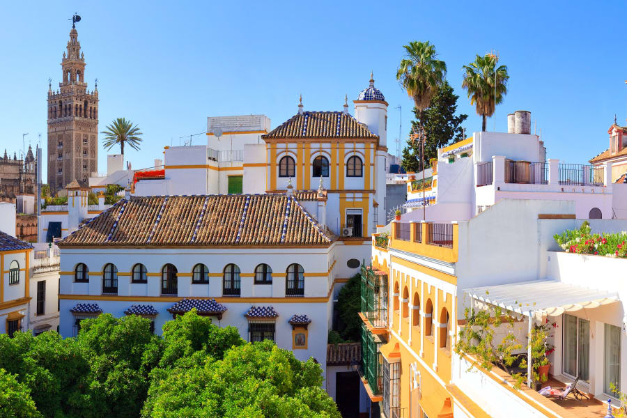 Views of Seville during private half-day tour