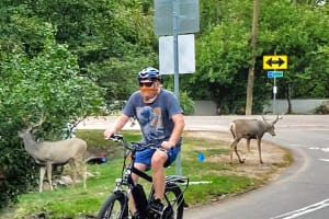 Riding among nature
