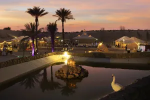 Dubai Caravanserai Desert Dinner with Live Show