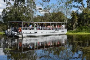 New Orleans Covered Swamp Tour