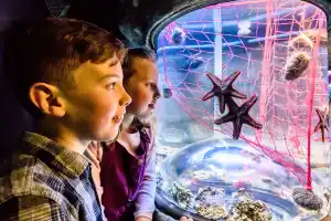 SEA LIFE Brighton