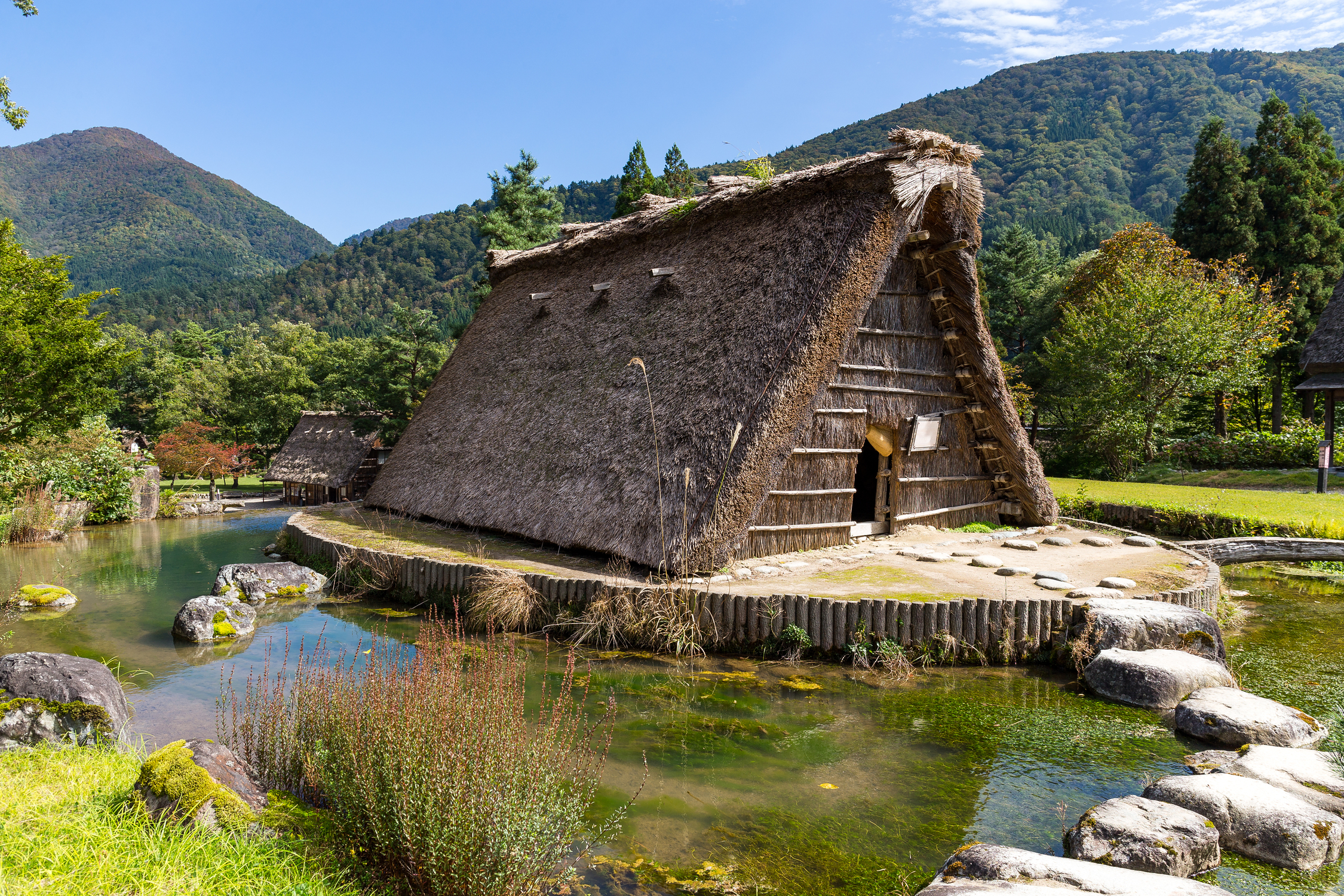 Imagen 5