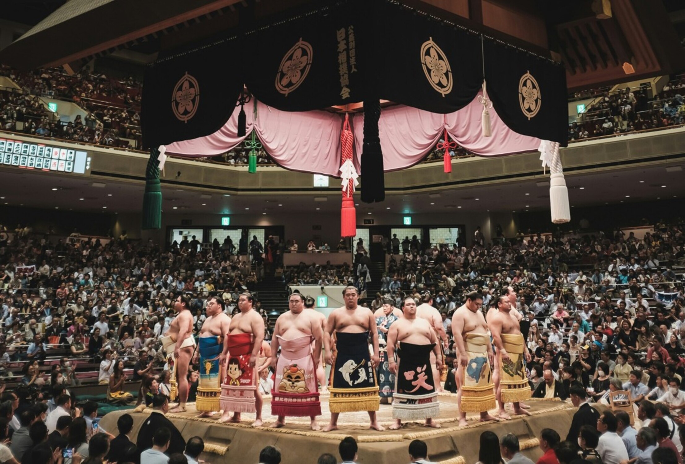 Live Sumo Tournament: Nagoya