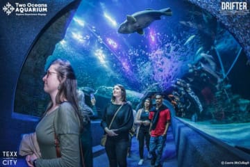 Enjoy Music and Good Vibes with After Dark at the Two Oceans Aquarium