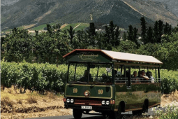 Recommendation: Wine farms included in the Franschhoek Wine Tram route: