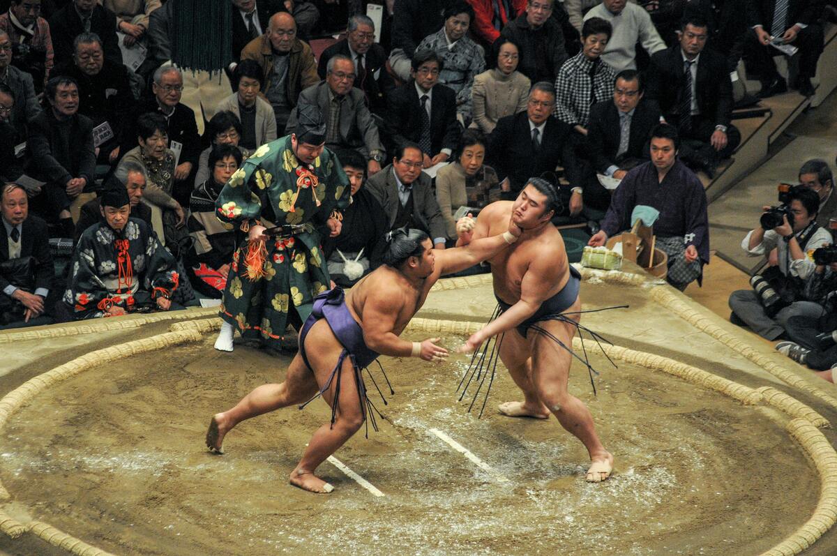 Live Sumo Tournament: Nagoya