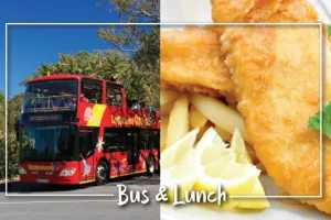 Bus & Lunch