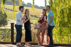 Wine Tasting