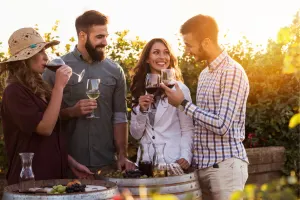 Private Napa and Sonoma Valley Wine Tour