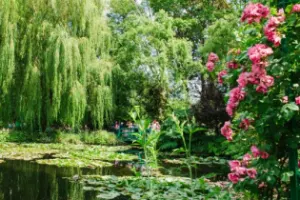 Monet's Garden Bike Tour