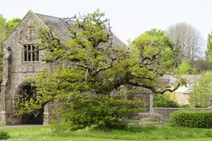 Cleeve Abbey