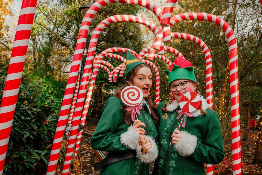 Candy Cane Lane