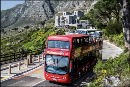 Recommendation: 1. Hop on the City Sightseeing red bus to see the best Cape Town has to offer