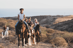 Mt. Princeton Sunset