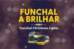 Funchal Christmas Lights