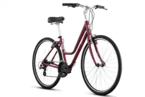 Path/Comfort Bike