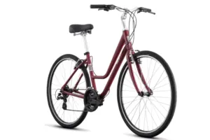 Path/Comfort Bike