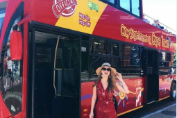 Recommendation: Hop-on Hop-Off