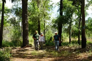 Florida Nat'l Scenic Trail - Rice Creek Hiking Tour