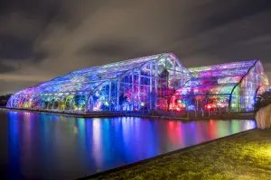 RHS Glow at Wisley