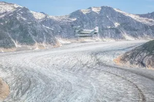 Taku Lodge Feast & Seaplane Flightseeing